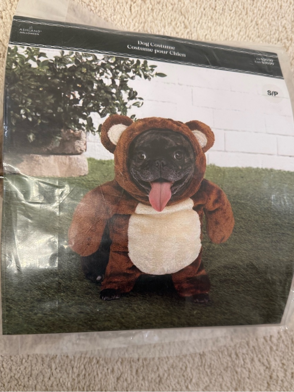 Ashland Brown and Cream Plush Bear Dog Costume